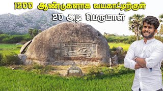 Thondur Perumal Temple Explained  Villupuram  Tamil Navigation [upl. by Rosalinde830]