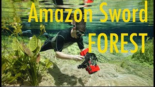 Giant Amazon sword plant forest  Echinodorus and Ancistrus in nature [upl. by Nnyledam577]