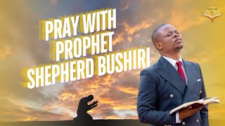 PRAY WITH PROPHET SHEPHERD BUSHIRI BEFORE YOU START shepherd [upl. by Riggs]