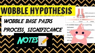 Wobble hypothesis Notes 😎📝 [upl. by Eciuqram]