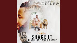 Shake It feat Flowking Stone [upl. by Ettelrahc634]