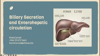 Biliary Secretion and Enterohepatic Circulation  Khalid Jamiel  GIT 113 PAL review session [upl. by Eelram]