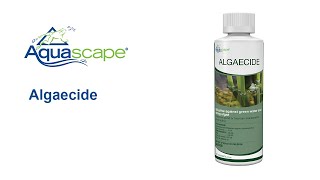 Control Pond Algae with Algaecide Water Treatment by Aquascape [upl. by Tnarg]