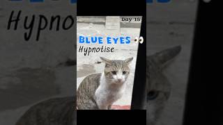 Blue Eyes Hypnotise Teri 👀 shorts blueeyes trending vlog viralvideo [upl. by Romaine]