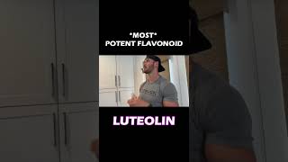 1 Most Powerful Flavonoid in the WORLD Luteolin Increase in TESTOs shorts short hormones [upl. by Ilram]