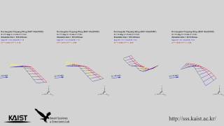 Flappingwing aeroelastic analysis considering wing flexibility [upl. by Welbie]