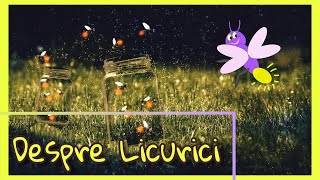 Lumea Magica a Licuricilor  Despre Licurici  Curiozitati despre Licurici [upl. by Kroy92]