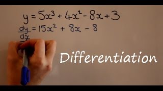 Differentiation [upl. by Meggy767]