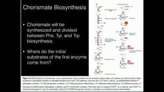 Chorismate Phenylalanine Tyrosine Biosynthesis [upl. by Ibor]