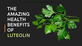 The Amazing Health Benefits of Luteolin [upl. by Emlin]