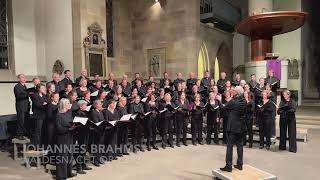 Johannes Brahms Waldesnacht  Stuttgarter Kantorei Kay Johannsen [upl. by Neret]