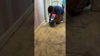 Wood floor demo flooring flooring flooringprestige [upl. by Eitisahc]