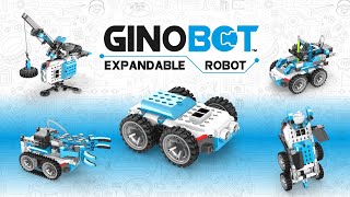 Ginobot  The most adaptive robot for teaching and developing STEM skills ginobot engino robotics [upl. by Durant]