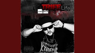 Triff deine Wahl feat Herzog [upl. by Dhaf]