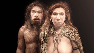 A Day In The Life Of A Neanderthal [upl. by Kinsman281]