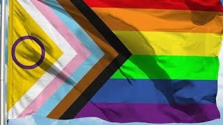 O que nós negros estamos fazendo na nova bandeira LGBTQA [upl. by Japha]