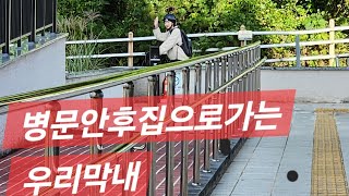 20241029 병실일기 이런억울한일이 사고보상처리 내가가해자라고 오마나세상에나 정상참작 릴렉스 8대2까지는양보할수있다 내가2 괸당문화 혹여나 제주문화 [upl. by Tenrag]