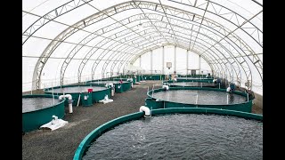 Botswana Fish Farming Aqua Culture [upl. by Brod]