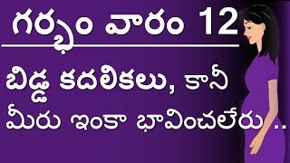 Pregnancy  Telugu  Week 12  గర్భం  వారం 12 [upl. by Sonja]