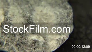 Gneiss Rock Extract [upl. by Joelly]