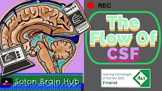 The Flow of CSF and Pathologies [upl. by Colley]