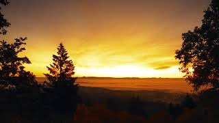 Willamette Valley fall sunrise time lapse oct 24 2024 [upl. by Eveivaneg]