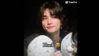 That’s the REAL blush right their😍hyunjin skz blush [upl. by Slavic402]