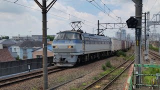 EF66サメ代走 8月2日尻手駅 新鶴見A216運用 3086レ EF66 128 [upl. by Tioneb]