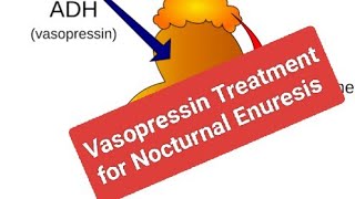 Drug Treatment for Nocturnal Enuresis Vasopressin [upl. by Voleta298]