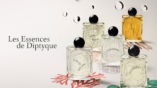 5 NEW Diptyque Fragrances  Les Essences Collection  Impressions  Overview [upl. by Islehc237]