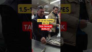 1518 KG KOPES 150 TL TAM TAVALIK BUNLAR levrek çipura balıkmezatı gopes [upl. by Selena84]