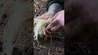 Bushcraft Basics Learn Fire Drilling bwonlineshop outdoor camping firemaking bushcraft [upl. by Emmalynne516]