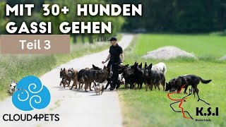 Hundeforscherin Katrin Scholz mit Hundemeute 🐕 Teil 3 [upl. by Irabaj188]