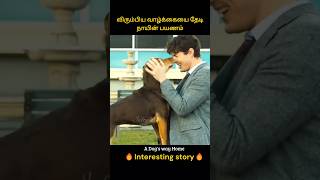 Dogs struggle to live a happy and peaceful life  விரும்பிய வாழ்க்கையை தேடி நாயின் பயணம்  Infogle [upl. by Kara]