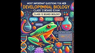 CLASS 12 DEVELOPMENT BIOLOGY GAMETOGENESIS MOST IMPORTANT QUESTION FOR 4 MARKS [upl. by Juna]