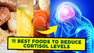 11 Best Food to Reduce Cortisol Level [upl. by Emmanuel557]