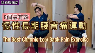 慢性腰背痛怎麼辦？八個最簡單有效腰背痛運動 Eng Subtitles The Best Chronic Lower Back Exercises [upl. by Werbel329]