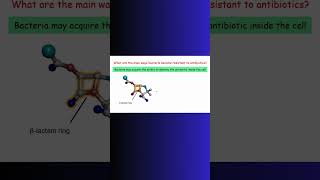 Beta LACTAM ANTIBIOTICS BACTERIA bacteria antibioticresistance physiology microbiology cell [upl. by Ydnarb69]