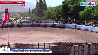 1° SERIE LIBRE  Rodeo Club PAIHUÉN ASOC PETORCA  Medialuna Paihuén Cabildo 16 y 17 Nov 2024 [upl. by Zipnick500]