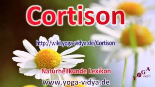 Cortison [upl. by Denoting]