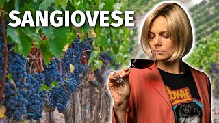 Wine Grapes 101 SANGIOVESE [upl. by Anilah358]