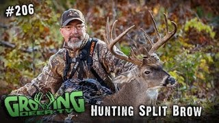 Bow Hunting Whitetails Finally Got Him  The Split Brow Buck 206 GrowingDeertv [upl. by Aekan992]