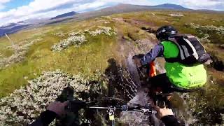 Flow i Jämtland  mtb i jämtlandsfjällen [upl. by Nnylyar359]