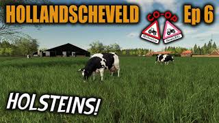 HOLLANDSCHEVELD Ep 6  HOLSTEINS  COOP Lets Play with SealyEG  Farming Simulator 19 PS4 [upl. by Evars]