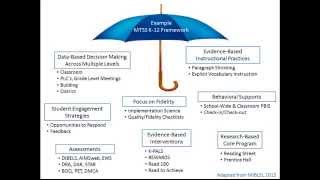 Critical Features of MTSS [upl. by Submuloc]