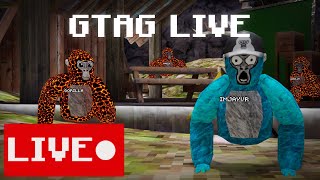 Gorilla Tag Live With Viewers LIVE 🔴 [upl. by Ayetal]