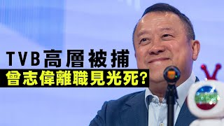 【香港1C】TVB高層被捕！點解偷睇機密又會散播不實資訊？炒唔成曾志偉因為見光死？小股東揭弊不了了之！03022024 [upl. by Neelehtak]