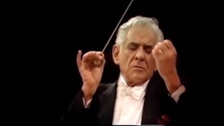 Gustav Mahler  Adagietto  Leonard Bernstein 4K [upl. by Naihs]