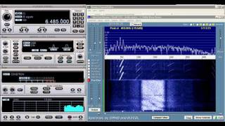 HF radio  unknown signalrising tones 6485 Mhz USB [upl. by Hafital655]