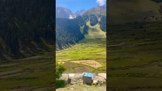 Farming at Naltar Valley [upl. by Wilda]